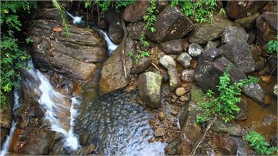 Stream from a fountain... crystal clear and unpolluted water...