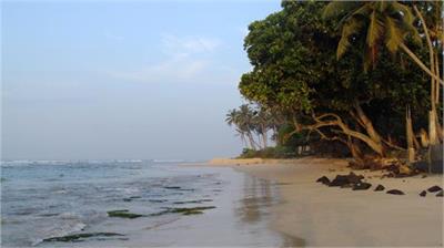 Golden sandy beach... waiting for you to step on...