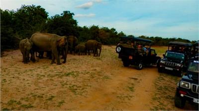 Safari to remember...