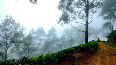 Cycling and Mountain Biking...