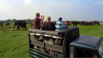 Safari rides...